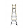 BAILEY Ladderweld Access Platform 10 Order Picking Ladder 200kg 2.761m image