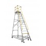 BAILEY Ladderweld Access Platform 14 Order Picking Ladder 200kg 3.866m image