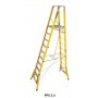 BRANACH Fibreglass CorrosionMaster Safety Platform Ladder 10 Step 3.0m Platform Height image