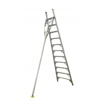 Orchard Ladders image
