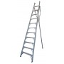INDALEX Pro Series Aluminium Orchard Ladder 12ft 3.7m image