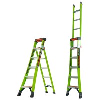 Triple Purpose Ladders image